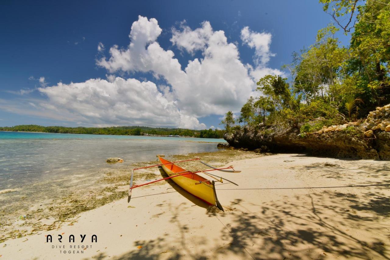 Araya Dive Resort Togean Bomba Eksteriør bilde